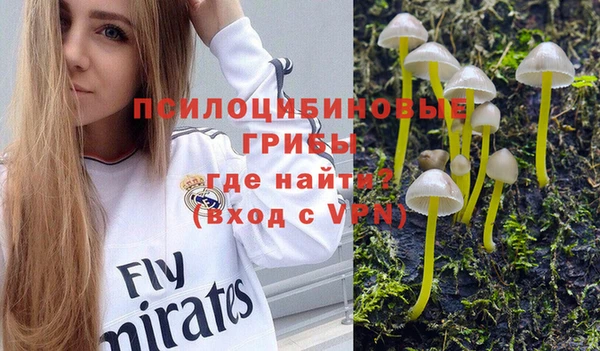 СК Богородск